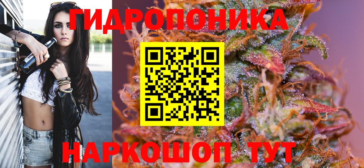 Шишки марихуана THC 21%  Бошки Шишки AK-47  Бошки марихуана Bruce Banner  Чита  Вход с VPN  Шишки марихуана ГИДРОПОН 